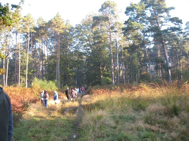 2007-10-Mycologie à Pecqueuse